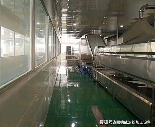 紅薯粉條機工藝多種多樣,怎樣篩選才不會入坑